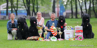 Kennel ADAM RACY STYLE  THE BEST KENNEL OF THE OF THE RUSSIAN NATIONAL BRT BREED CLUB!
