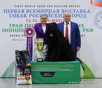      () -        ! MOSCOW WINNER! RUSSIAN BREEDS WORLD WINNER! BEST IN SHOW!