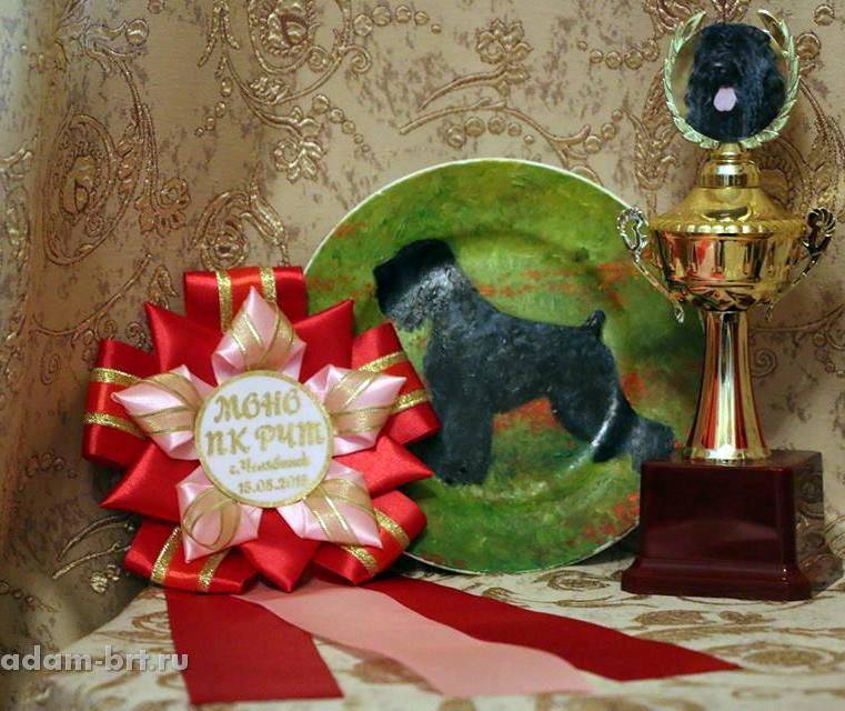 KENNEL "Adam Racy Style" - THE BEST KENNEL OF THE MONOBREED DOG SHOW!