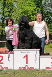 Adam Racy Style APOLLON - FIRST VETERAN CHAMPION OF THE RUSSIAN BLACK TERRIER BREED NATIONAL CLUB!