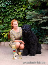 Adam Racy Style DALLAS - CANDIDATE TO 2  CHAMPION OF BLACK RUSSIAN TERRIER CLUB!