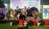 BRILLIANT VICTORIES OF KENNEL ADAM RACY STYLE AT THE CAUCASUS!!!