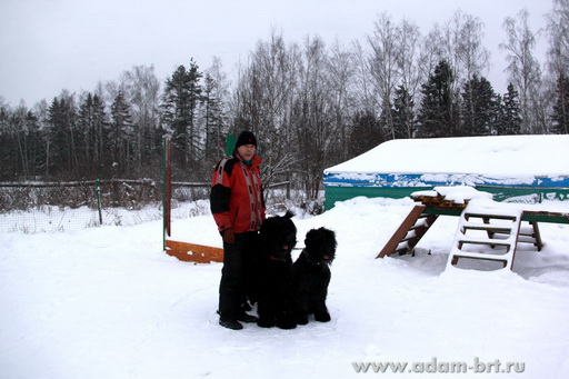 Couple training. Black Russian Terrier