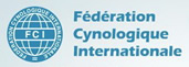 Международная Кинологическая Федерация (ФЦИ). Federation Cynologique Internationale (FCI)