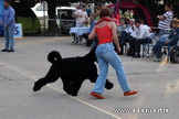 ADAM RACY STYLE  -      