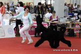 ADAM RACY STYLE  -      