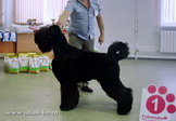 ADAM RACY STYLE  -      