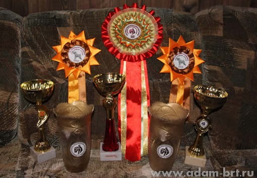 First Place in Top of Festival of MonoBreed Dog Shows!