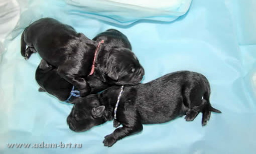The first minutes of life ...