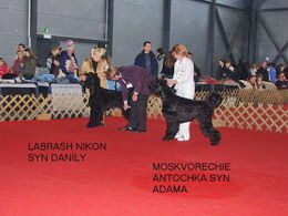 IVAN SYN ADAMA