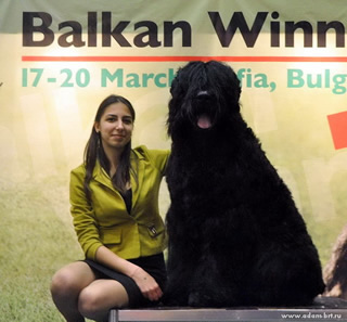 Adam Racy Style RUSSKIY BOGATYR - THE CHAMPION OF BULGARIA AND BALKAN COUNTRIES!