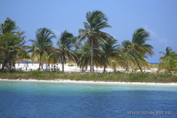 CUBA LIBRE - 2009