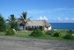 CUBA LIBRE - 2009