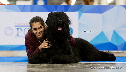 Adam Racy Style HARTIYA (HARA) -    !  !