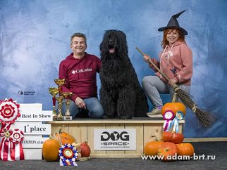 Adam Racy Style  () -   ! BEST IN SHOW!