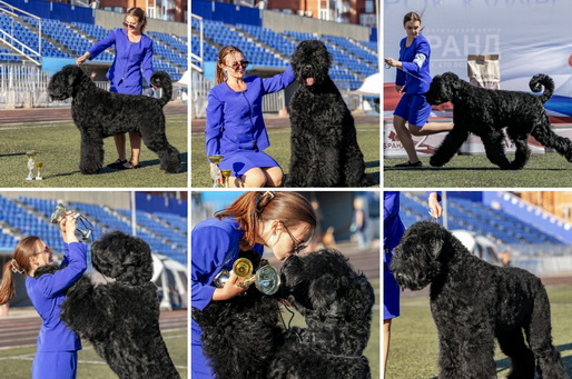 Adam Racy Style  () -      !     !   !