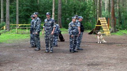 DOG TRAINING CENTER "WORKING DOG"