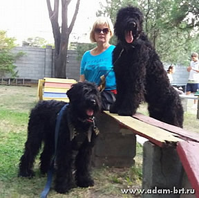 Adam Racy Style LAVR and MONTANA STAYN PASTORAL SARBONA