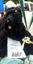Adam Racy Style LUBOSLAVA - CHAMPION of RUSSIA!