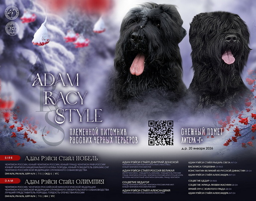 ����� ����� ������ ����, ����� �������� ������� ������� � ��������� ������. Adam Racy Style ������ � Adam Racy Style ������� - ������ ������ � ������ ���� ������