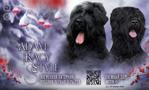 ����� ����� ������ ����, ����� �������� ������� ������� � ��������� ������. ���� ����� ����� ������ � ���� ����� ����� ������� - ������ ������ � ������ ���� ������