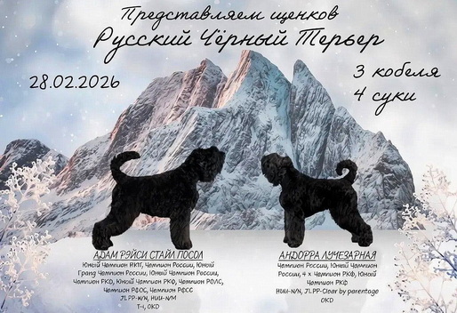 ����� ������� �������, ���� ����� ����� ����� � �������. ������ ������������� ������ ������� ������ ������