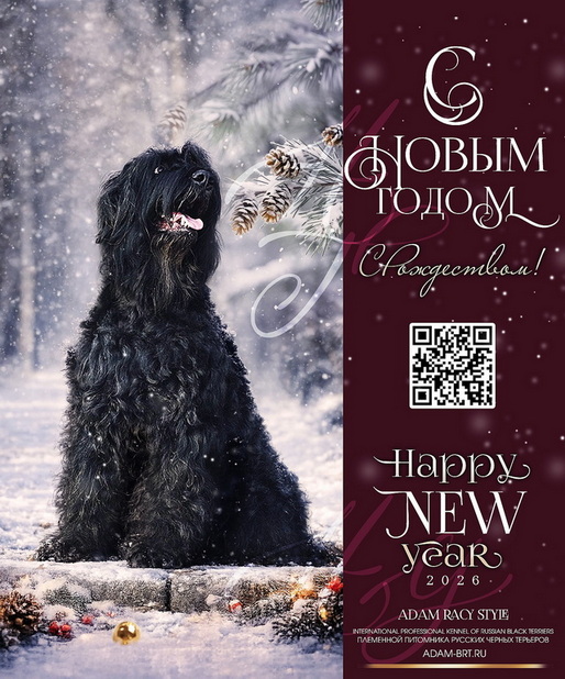 � ����� 2026 �����, ������! � ����������! Adam Racy Style ���������