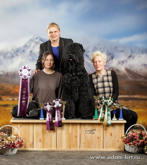 Adam Racy Style  -   !   !   !   !