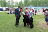 Adam Racy Style RICHARD - JUNIOR CHAMPION OF RUSSIA!