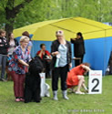 Adam Racy Style RICHARD - JUNIOR CHAMPION OF RUSSIA!