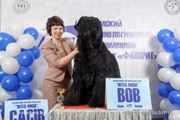 Adam Racy Style ZLATOSLAV - THE BEST OF BREED OF INTERNATIONAL DOG SHOW!