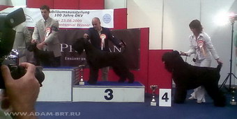 АДАМ - ЧЕМПИОН СРЕДНЕВОСТОЧНОЙ ЕВРОПЫ!