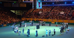   - 2008