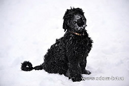    - 3 ,     !
