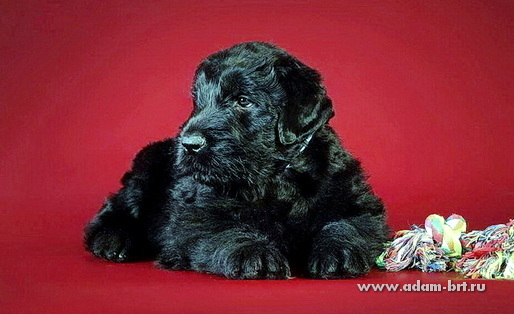 ������� ������ ������, ������ ����� �� ���������. �������� ����� ��� � ���������, ������ ����� � ������. ��������� �������� ���� ����� �����