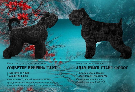 ����� ������� ������� - ���� ����� ����� ����� � �������� ������� ����. ������ ����� ������� � ������