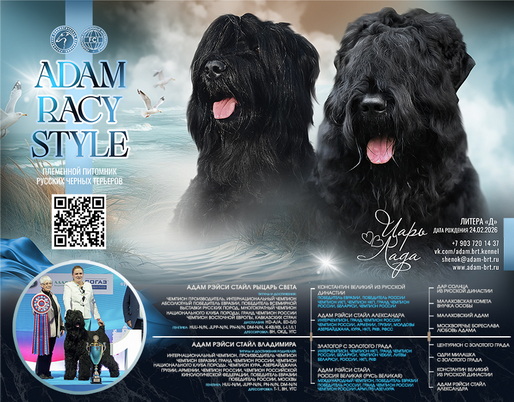 �������� ����� ���, ����� �������� ������� ������� �� �� ��������� � ������. ���� ����� ����� ������ ����� (����) � ���� ����� ����� ��������� (����)