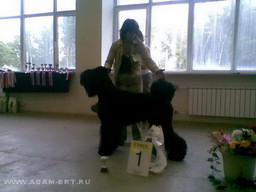 БОРИСЛАВА ЛЮБОВЬ АДАМА