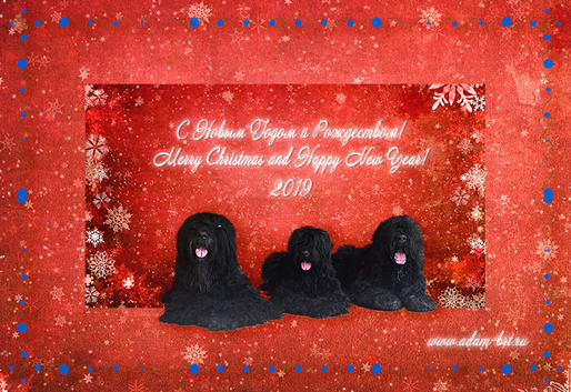   2019 !   !