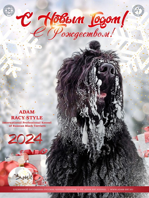   2024 !  !