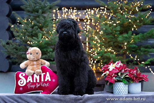 � ����� �����! � ����������! ��������� �������� ������� ������ �������� ���� ����� �����