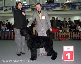 Adam Racy Style 
