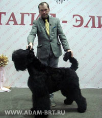Беренис