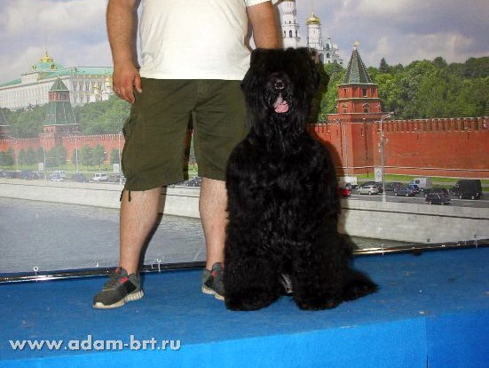    , 14  –  ,  ,VERY GOOD!!!